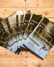 Allegra Marketing Print Mail image 8