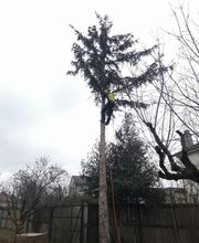 Les 4 Saisons image 8