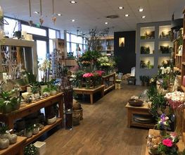 Blumen Interfleur Floristik & Wohnaccessoires Bild 6