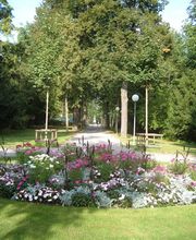 Grün Schaffhausen Bild 5