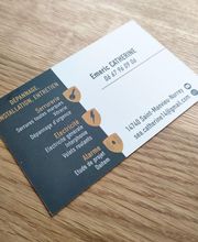 SEA Catherine image 1