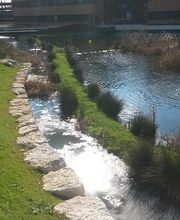 EA Cap Vert image 10