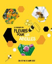 Le Tournesol image 19