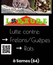 Loraure image 1