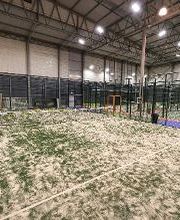 Gimnasio VivaGym Padeleku imagen 8