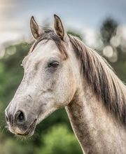 Anja Sehrt Fotografie Bild 6