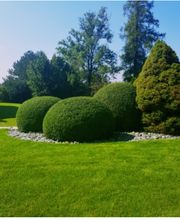 Urs Brunner Gartengestaltung Bild 6