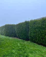 Christophe Espaces Verts image 3