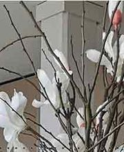 AWO Bürgerhaus Drebach Bild 5