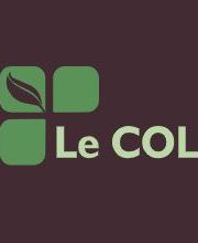 Le COL Pau image 1