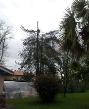 Dobigny Elagage image 17