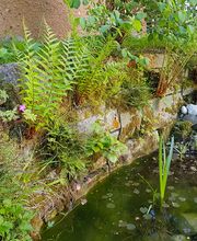 Besl Bischoff Gartenbau und Gartenpflege AG Bild 1