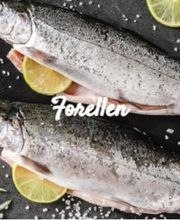 Forellenzucht Schmutz Bild 1