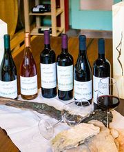 Gallery Professionale