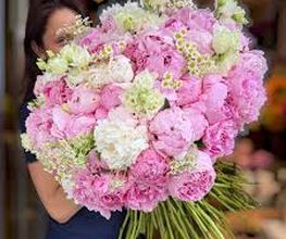 Riviera Fleurs Genève Bild 7