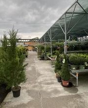 Gartencenter HORNBACH Galgenen Bild 2