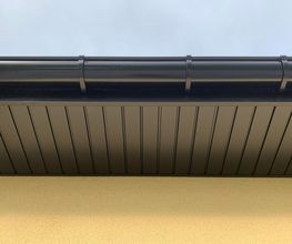 De Araujo Ludovic image 6