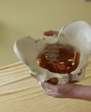 Physiotherapiezentrum zum Hof Bild 8