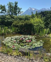 Betagten- und Pflegeheim Niesenblick AG