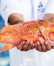 Royal Hideaway Corales Suites imagen 19