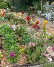 Jardin Tradition image 4
