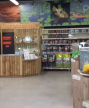 Animalis Antibes image 2