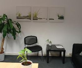 Stuhl mit Beistelltisch neben einer Couch und Topfpflanze. Im Hintergrund hängen drei Leinwandbilder von grauen Steinen und Gras an der Wand.