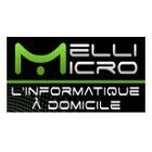 Melli Micro