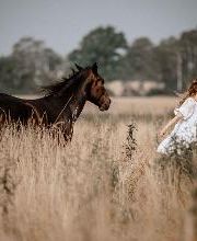 Beshepherd Tierfotografie - Sophie Lombeck Bild 13