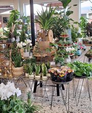 Floria Blumen Bild 19