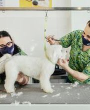 Mökai Mascotas imagen 3