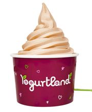 Yogurtland Dublin image 2