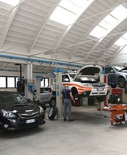 Gallery Cliente