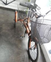 GOFIS BICI imagen 13