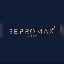 Sepromax Seguridad