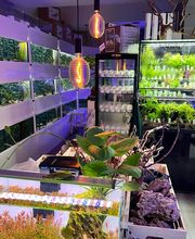 Aquasalvaje imagen 8