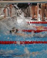 White Sharks Trier e.V. Bild 16