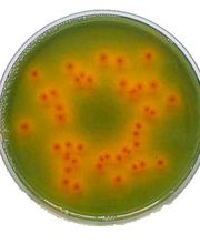 Aquanalyse Laboratoire image 3