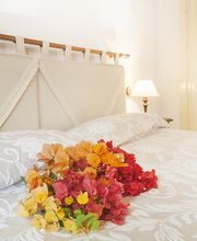 Eco- Finca Vistabonita imagen 3