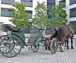 hochzeits-kutscher-online.de Bild 6