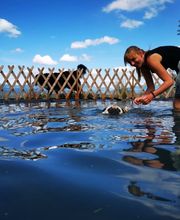 Alpepfötli GmbH Bild 8