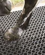 Technical Horse image 2