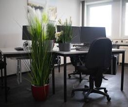 Heller Arbeitsplatz für Teilnehmende. Schreibtisch mit 2 Bildschirmen, Tastatur, Maus und Headset. Es stehen einige Grünpflanzen im Raum.