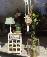 Coiffure Adam Et Eve image 1