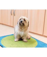 Ute Hain-Krause LogopädieZentrum Bild 1