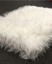 Bolonka-Shop.com Bild 14