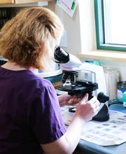 Indian Tree Animal Hospital image 4