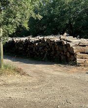 Bourgaud Michel image 14