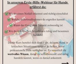 natural.dogs. Bild 6