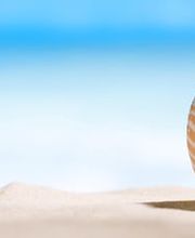 Hertig Reisen AG Bild 6